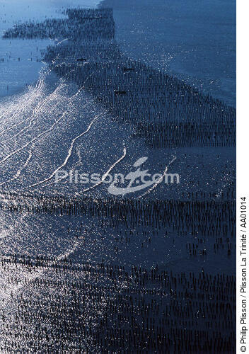 Parcs à moules à bouchots dans la vilaine. - © Philip Plisson / Plisson La Trinité / AA01014 - Nos reportages photos - Parc à moules