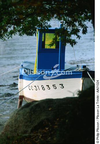 Petit bateau de pêche. - © Philip Plisson / Plisson La Trinité / AA01024 - Nos reportages photos - Vertical