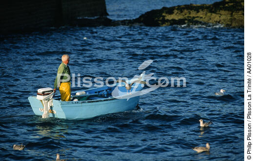 Goëlands près d'un petit canot de pêche. - © Philip Plisson / Plisson La Trinité / AA01028 - Nos reportages photos - Personnage