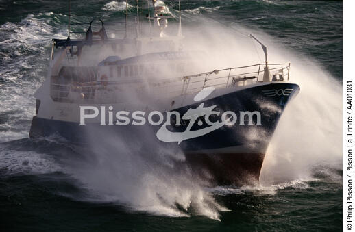 Le Cèdre bleu de Lorient. - © Philip Plisson / Plisson La Trinité / AA01031 - Nos reportages photos - Pêche