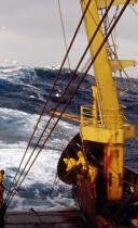 Grande pêche en Mer du Nord. © Didier Perron / Plisson La Trinité / AA01059 - Nos reportages photos - Personnage