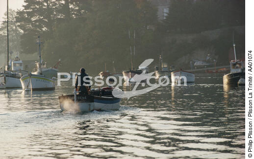 Retour de pêche à Sainte Marine. - © Philip Plisson / Plisson La Trinité / AA01074 - Nos reportages photos - Construction