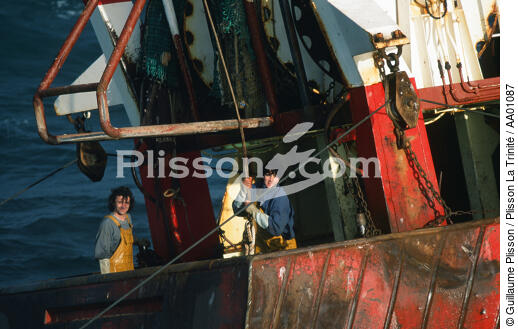 Pêcheurs sur un chalutier. - © Guillaume Plisson / Plisson La Trinité / AA01087 - Nos reportages photos - Activité maritime
