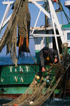 Pêcheur tirant un filet à bord d'un chalutier. © Guillaume Plisson / Plisson La Trinité / AA01096 - Nos reportages photos - Activité maritime