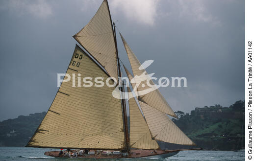 Tuiga à la Nioulargue. - © Guillaume Plisson / Plisson La Trinité / AA01142 - Photo Galleries - Classic Yachting