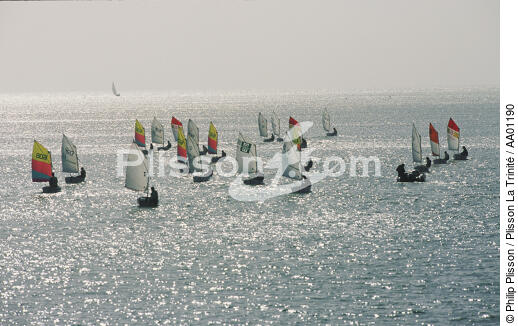 Flotte d'optimists. - © Philip Plisson / Plisson La Trinité / AA01190 - Photo Galleries - Sailing school