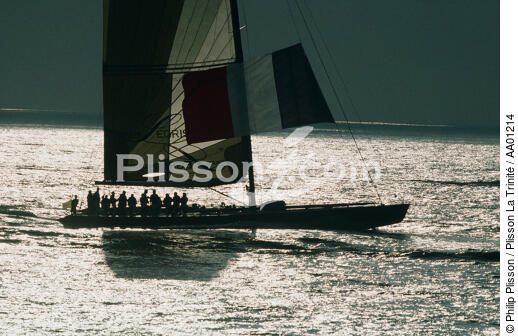 Legris en contre jour. - © Philip Plisson / Plisson La Trinité / AA01214 - Nos reportages photos - Terme marin
