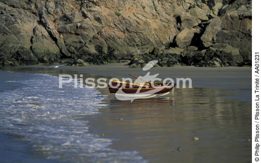 Barque échouée sur une plage. - © Philip Plisson / Plisson La Trinité / AA01231 - Photo Galleries - Wild coast