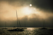 Bateaux au mouillage. © Philip Plisson / Plisson La Trinité / AA01234 - Photo Galleries - Yachting