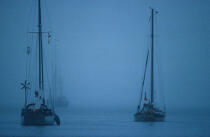 Voilier au mouillage. © Philip Plisson / Plisson La Trinité / AA01240 - Photo Galleries - Traditional sailing