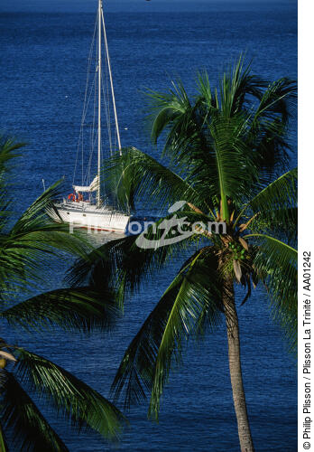 Bateau au mouillage aux Antilles. - © Philip Plisson / Plisson La Trinité / AA01242 - Photo Galleries - Flora