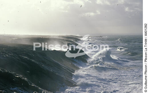Tempête sur Quiberon, côte sauvage. - © Guillaume Plisson / Plisson La Trinité / AA01282 - Photo Galleries - Rough weather