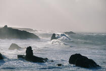 Pointe de Percho. © Guillaume Plisson / Plisson La Trinité / AA01286 - Photo Galleries - Wild coast