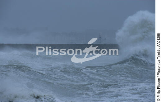 Tempête sur le port de Quiberon. - © Philip Plisson / Plisson La Trinité / AA01288 - Photo Galleries - Port