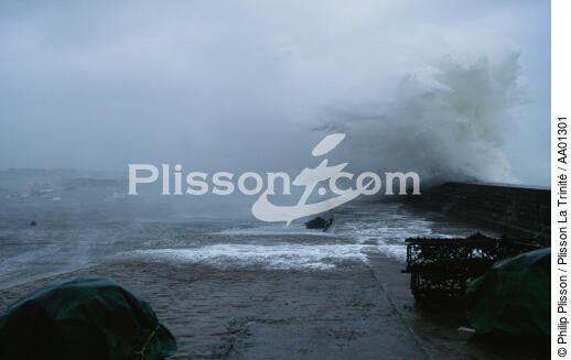 Tempête sur la presqu'île de Quiberon. - © Philip Plisson / Plisson La Trinité / AA01301 - Photo Galleries - Storm at sea