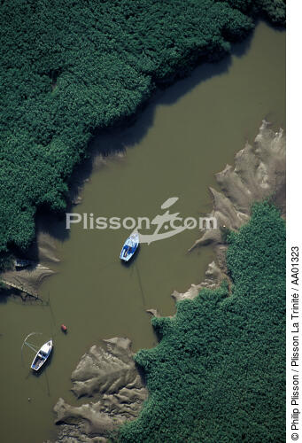 Estuaire de la Loire. - © Philip Plisson / Plisson La Trinité / AA01323 - Nos reportages photos - Site [44]