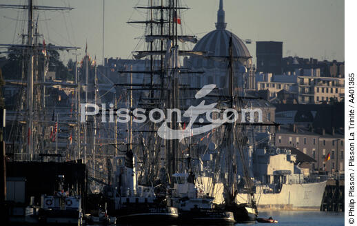 Port de Nantes. - © Philip Plisson / Plisson La Trinité / AA01365 - Photo Galleries - Pays de Loire