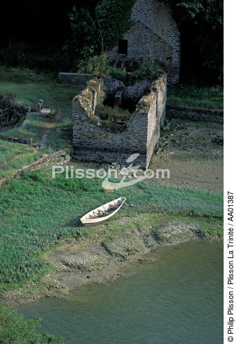 Ruines au bord de la Rance. - © Philip Plisson / Plisson La Trinité / AA01387 - Nos reportages photos - Monument historique