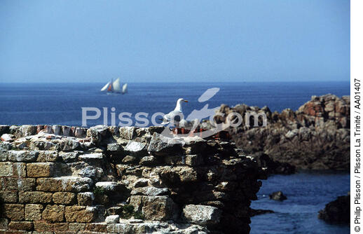 Du fort de la Conchée. - © Philip Plisson / Plisson La Trinité / AA01407 - Photo Galleries - Emerald Coast [The]