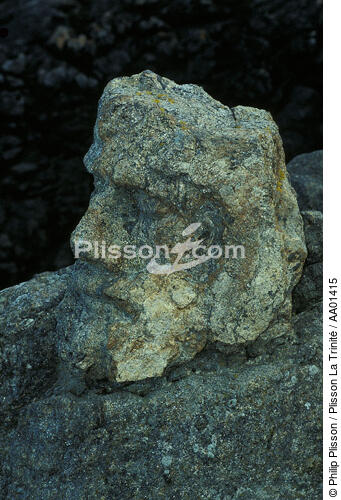 Gros plan sur un personnage de Rothéneuf, sculpté dans la roche. - © Philip Plisson / Plisson La Trinité / AA01415 - Photo Galleries - Site of Interest [35]