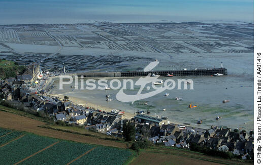 Parc ostréicole à Cancale. - © Philip Plisson / Plisson La Trinité / AA01416 - Photo Galleries - Oyster farming