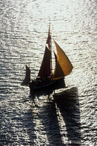 Le Rose-Anne, pilote de Bristol. © Philip Plisson / Plisson La Trinité / AA01469 - Photo Galleries - Sailing Pilot boat