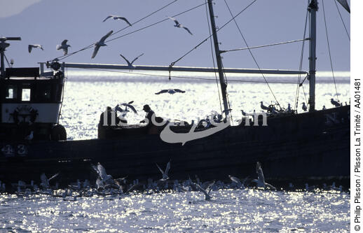 Pêche côtière en Ecosse. - © Philip Plisson / Plisson La Trinité / AA01481 - Photo Galleries - Job