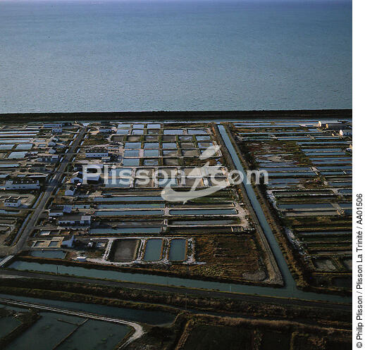 Marais salants en baie de Bourgneuf. - © Philip Plisson / Plisson La Trinité / AA01506 - Photo Galleries - Site of Interest [44]