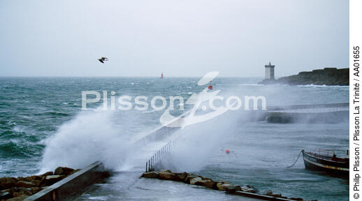 Mer agitée sur le port du conquet. - © Philip Plisson / Plisson La Trinité / AA01655 - Nos reportages photos - Tempête
