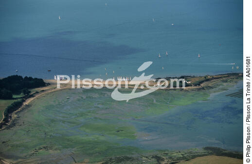 L'Ile d'Arz. - © Philip Plisson / Plisson La Trinité / AA01681 - Photo Galleries - Morbihan [The gulf of the]