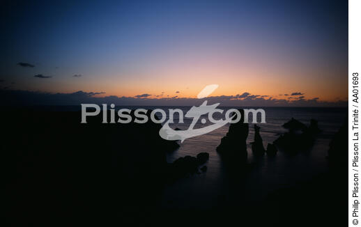 Les aiguilles de Port-Coton. - © Philip Plisson / Plisson La Trinité / AA01693 - Nos reportages photos - Ile [56]