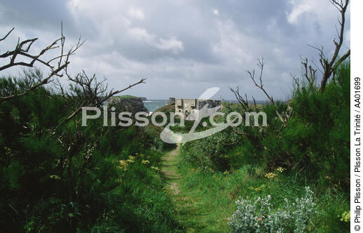 fort de Sarah Bernarht, Belle-Ile. - © Philip Plisson / Plisson La Trinité / AA01699 - Nos reportages photos - Faune et Flore