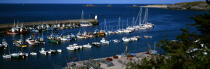 Le port de Houat. © Philip Plisson / Plisson La Trinité / AA01752 - Photo Galleries - Island [56]