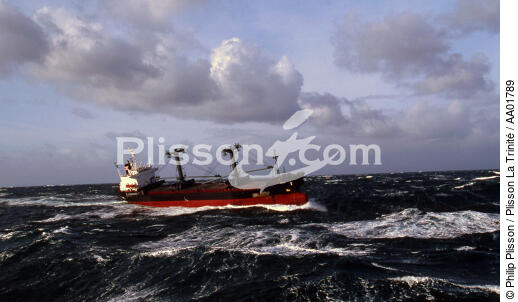 Cargo dans les vagues. - © Philip Plisson / Plisson La Trinité / AA01789 - Photo Galleries - Maritime transport