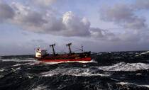 Cargo dans les vagues. © Philip Plisson / Plisson La Trinité / AA01789 - Photo Galleries - Weather