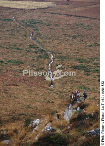 Randonnée équestre dans les Monts d'Arrée. - © Philip Plisson / Plisson La Trinité / AA01833 - Photo Galleries - Mammal