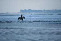 Randonnée équestre. © Guillaume Plisson / Plisson La Trinité / AA01835 - Photo Galleries - Horse