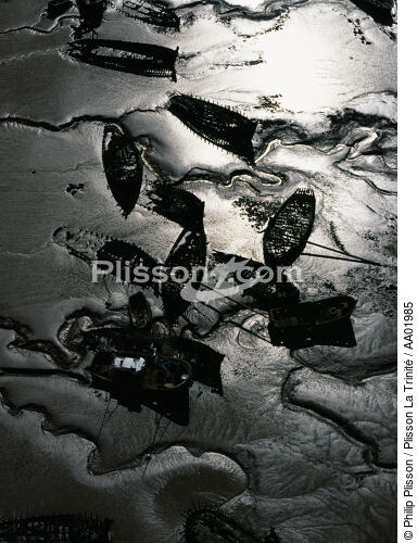 Les épaves du Blavet. - © Philip Plisson / Plisson La Trinité / AA01985 - Photo Galleries - Low tide
