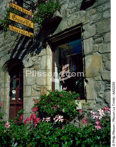 Maison à caractère médiéval à Rochefort-en-Terre. - © Philip Plisson / Plisson La Trinité / AA02250 - Photo Galleries - Sign