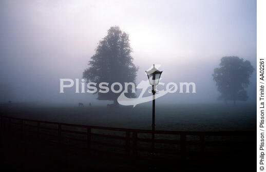 Lampadaire dans un paysage brumeux. - © Philip Plisson / Plisson La Trinité / AA02261 - Nos reportages photos - Irlande, l'île verte