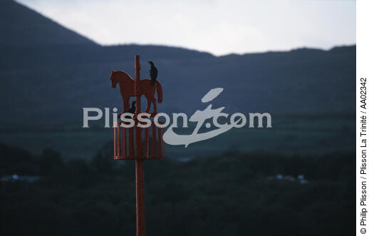 Girouette et oiseaux. - © Philip Plisson / Plisson La Trinité / AA02342 - Nos reportages photos - Pays étranger