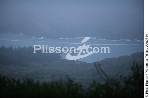 Bateaux de pêche dans la brume. - © Philip Plisson / Plisson La Trinité / AA02344 - Nos reportages photos - Pays étranger