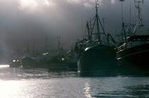 Bateaux de pêche dans le port de Castletown Bere. © Philip Plisson / Plisson La Trinité / AA02348 - Nos reportages photos - Pêche