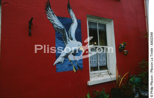Peinture sur le mur d'une maison à Eyeries. - © Philip Plisson / Plisson La Trinité / AA02349 - Nos reportages photos - Maison