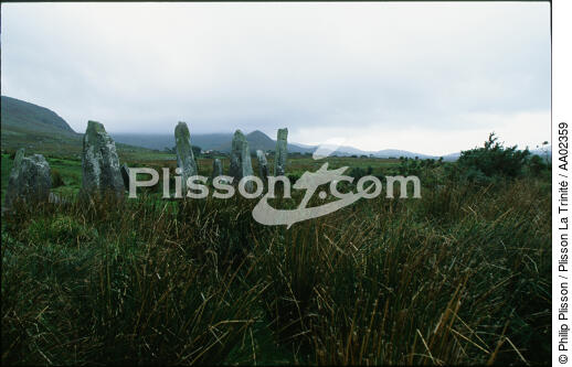Mégalithes dans la campagne irlandaise. - © Philip Plisson / Plisson La Trinité / AA02359 - Nos reportages photos - Ciel gris