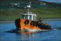 Pêcheur saluant. © Philip Plisson / Plisson La Trinité / AA02362 - Nos reportages photos - Irlande, l'île verte