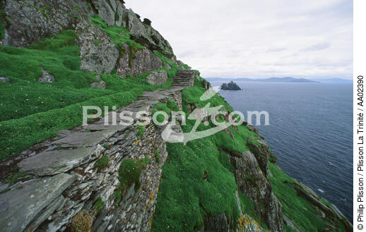 Skellig Michael en Irlande. - © Philip Plisson / Plisson La Trinité / AA02390 - Nos reportages photos - Muret