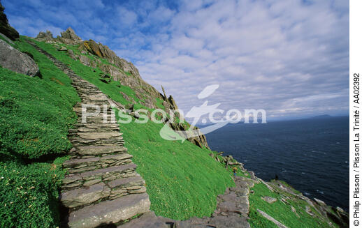 Skellig Michael en Irlande. - © Philip Plisson / Plisson La Trinité / AA02392 - Nos reportages photos - Irlande, l'île verte