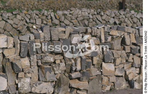 Muret à Inishmore (îles d'Aran). - © Philip Plisson / Plisson La Trinité / AA02442 - Nos reportages photos - Inishmore