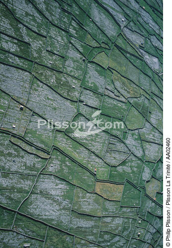 Inisheer et ses petits murets de pierres - © Philip Plisson / Plisson La Trinité / AA02460 - Nos reportages photos - Inisheer